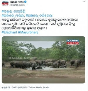 70歳女性を踏み潰したゾウ、葬儀にまで現れ遺体を突き飛ばす（印） 