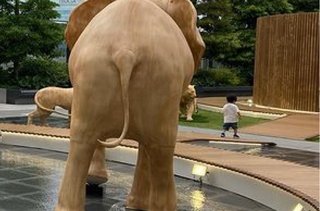 インスタせいら