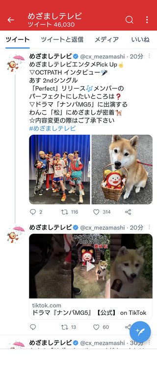 フジ【ナンバMG5】毎週水曜２２時