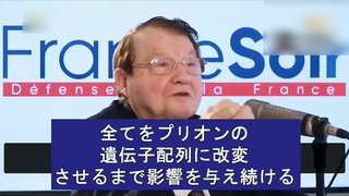 ワクチンにプリオンの遺伝子配列が存在  数世代に渡って影響を及ぼす