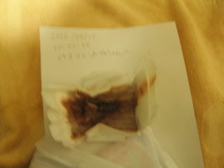 アラサーを追い回し「おばあちゃん」連呼する犯人は69歳愛美お婆さん