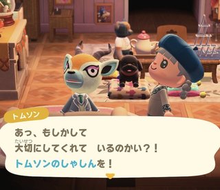 どうぶつの森 Switch 