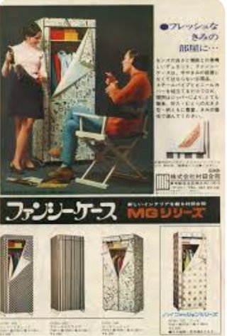 オバサン達の実家さ ファスナーで開け閉めするビニールのタンスあったでしょ？