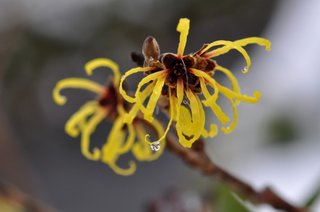 山上容疑者ってちょっとイケメンじゃない？