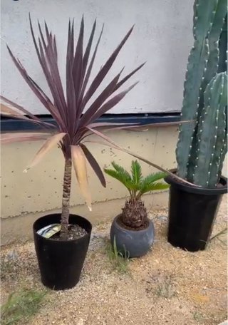 インスタあすか