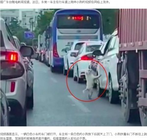 【動画あり】渋滞する道路で犬を捨てた“無情”な飼い主と、車にすがりジャンプする犬（中国）