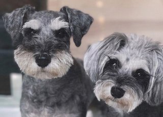 インスタせいら