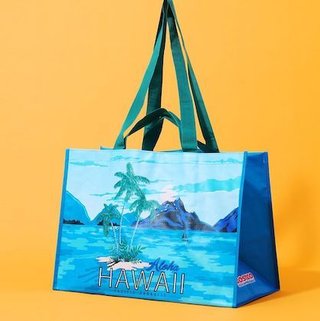 コストコに行く人&#x{11:F995};