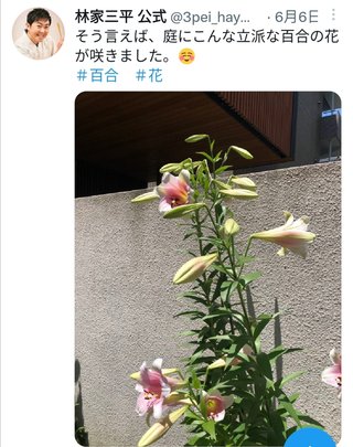 【泰葉】めげない復活