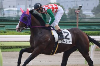 大井競馬で勝ったシテイタイケツのレースが海外でも話題に　20馬身以上後方から全馬ごぼう抜き