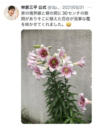 【泰葉】めげない復活