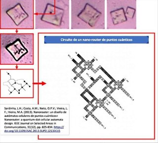 李氏( レビ氏ユダヤ人)、華僑たちが毒ワクチンをあおって日本人大虐殺企画