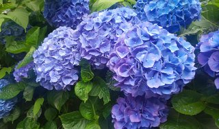 &#x{11:F8E2};なんでもいｰから&#x{11:F8E2};