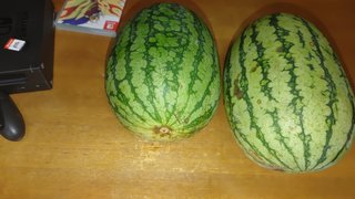 スイカ買ってきた＼(・o・)／