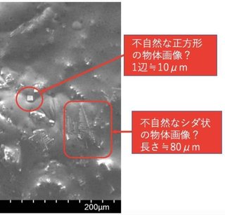 ワクチン中に隠されたナノ無線通信技術