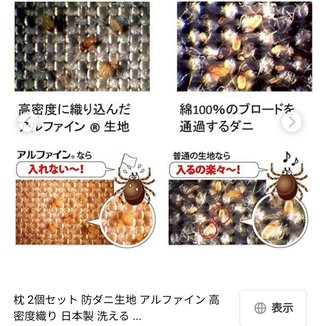 無料でダニを死滅させる方法、炎天下の車内70℃の中に放置