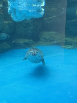 &#x{11:F8E2};なんでもいｰから&#x{11:F8E2};