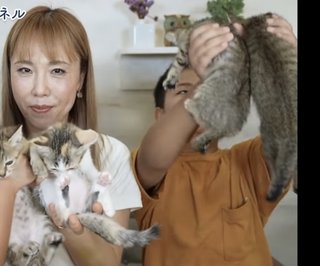 猫について何でもどうぞ【ねこ総合】