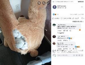 家宅捜索中、巨大テディベアの中から窃盗犯を発見し逮捕【英国】