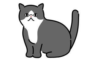 猫好きさんうちのこメーカーやってみた？