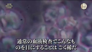 5年後には毒ワクチン接種によって日本人2/3が全滅し 米軍も全滅、中国軍が東京へ侵攻