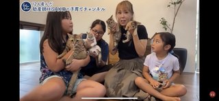 このYouTuber猫動画は酷い？