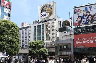 突如渋谷に現れた“超巨大な秋田犬”！　本当にその場にいるかのような3D映像に思わず大興奮