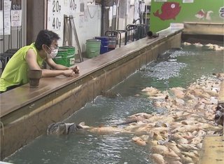 店長が号泣し訴え…現金等盗まれた釣り堀で魚3000匹が大量死 窃盗犯が電気配線切ったか