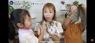 このYouTuber猫動画は酷い？