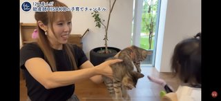 このYouTuber猫動画は酷い？