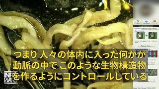 中国軍の生物化学兵器、毒ワクチン打って日本人64万人が死亡