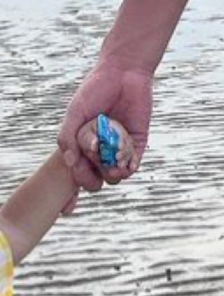 インスタせいら