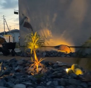 インスタあすか