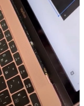 インスタせいら