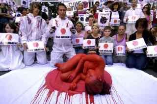 桑田佳祐って反日なの？