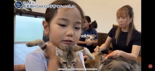 このYouTuber猫動画は酷い？