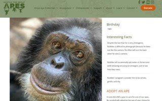 マイケル・ジャクソンの〝親友〟バブルス君　フロリダの類人猿センターで生きていた！