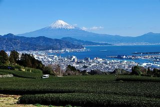 ワクチン未接種者の中等症、重症化リスクは接種者の4～5倍　8月に入り死者増加【静岡県】