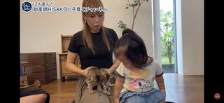 このYouTuber猫動画は酷い？