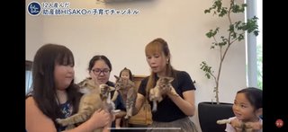 このYouTuber猫動画は酷い？
