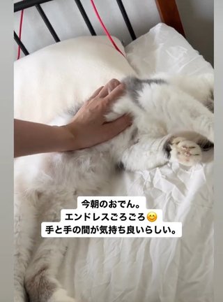 youtuber プチプラのあや