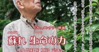 金髪の白人たちは  コロナは中国軍の詐欺劇だという事実を知っている 