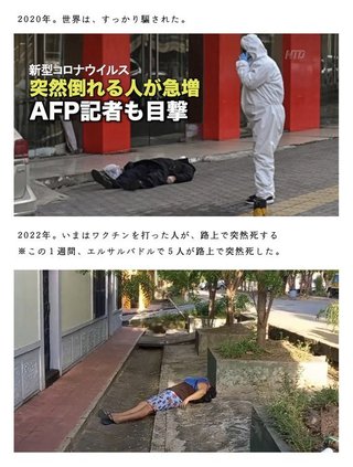 奴らは  毒ワクチン接種を煽る華僑工作員だよww