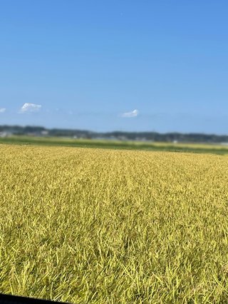 &#x{11:F8E2};なんでもいｰから&#x{11:F8E2};