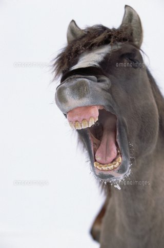 モノマネ芸人ナナちゃん【古村奈々】