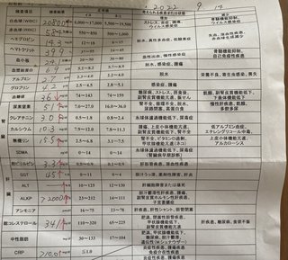 シニア犬。どこまで治療したらいいか分からない。かなり長文です。