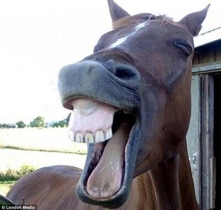 モノマネ芸人ナナちゃん【古村奈々】