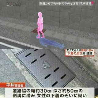 「生まれ変わったら道になりたい」 側溝からスカートのぞいた容疑、2度目の逮捕