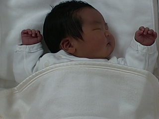 赤ちゃんのライブカメラ映像