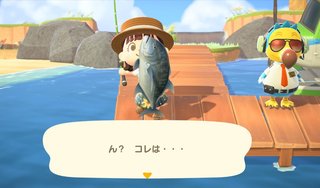 どうぶつの森 Switch 